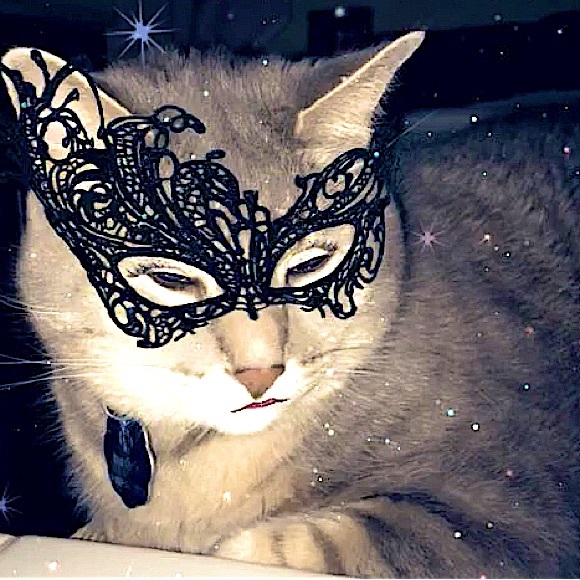 Meet your Posher, Wendy Wethington @tortabella - Picture 14 of 17